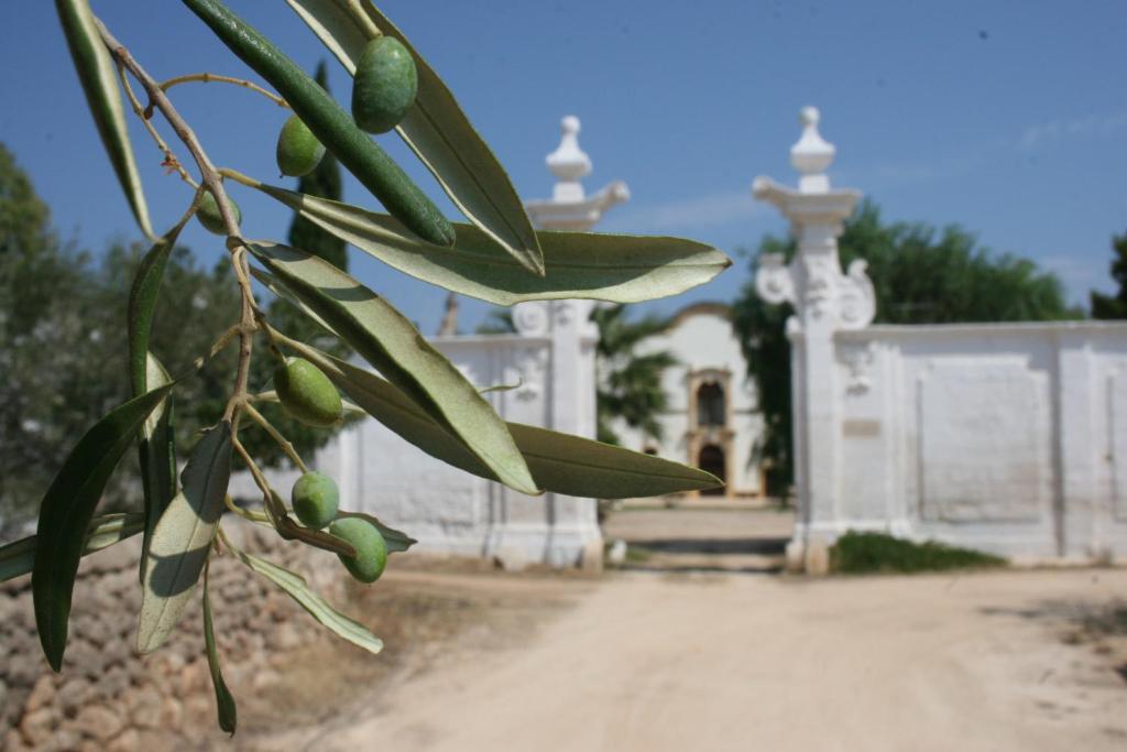 Masseria Maccarone Fasano Luaran gambar
