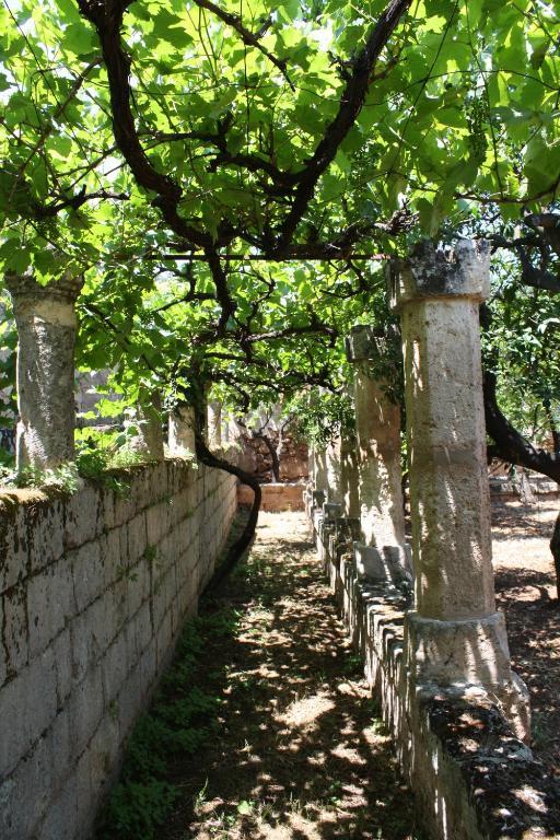 Masseria Maccarone Fasano Luaran gambar