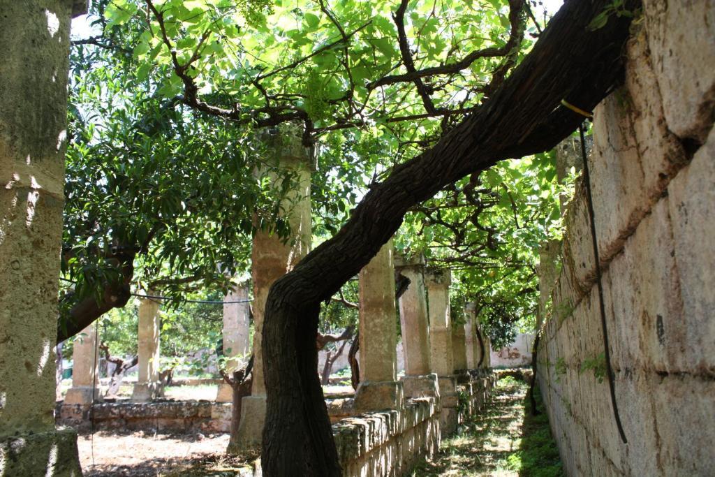 Masseria Maccarone Fasano Luaran gambar